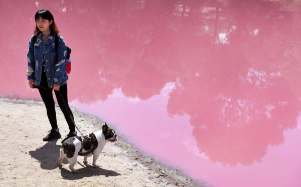 FOTOS: El extraño lago rosado que se ha convertido en un atractivo turístico en Australia