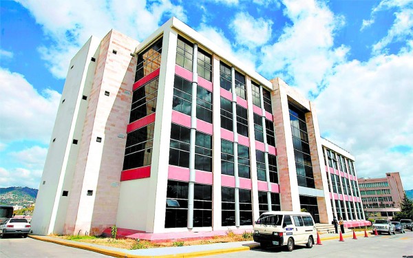 Plaga de pulgas invade sede judicial