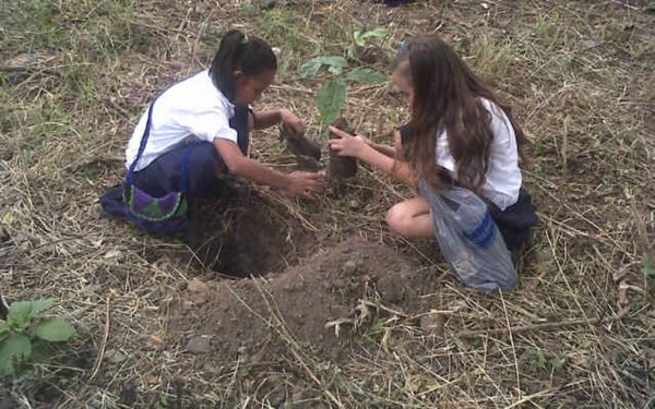 Plantan más de mil árboles en Juticalpa