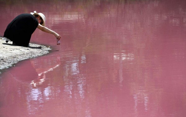 FOTOS: El extraño lago rosado que se ha convertido en un atractivo turístico en Australia