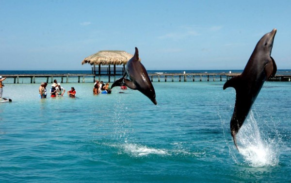 Honduras: Roatán será la isla más segura