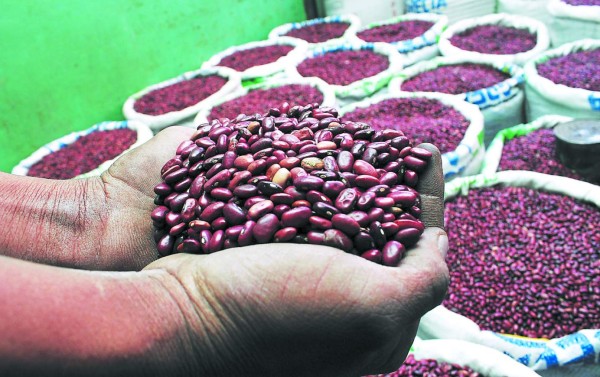 El agro tuvo exoneraciones por 175 millones de lempiras en 2017