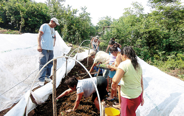 Entregan semilla mejorada para huertos familiares