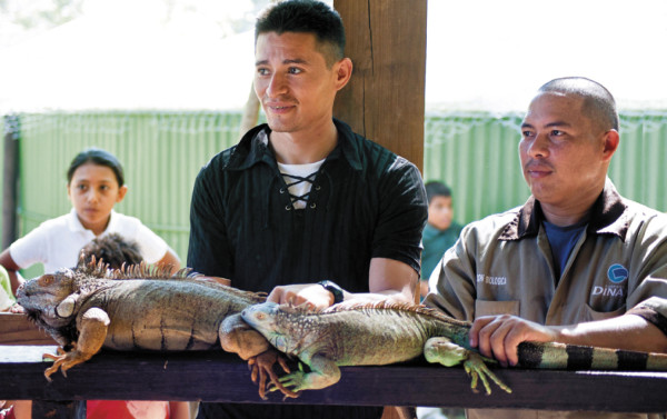 Liberan iguanas en la isla Zacate Grande