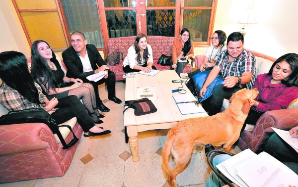 Defensores de animales marcharán este sábado