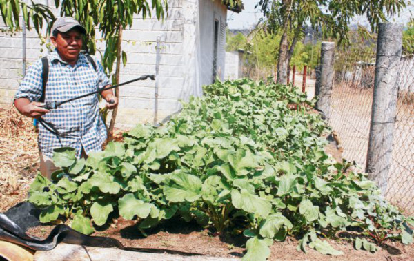 Procesan abono y fertilizante con estiércol de ganado en el sur