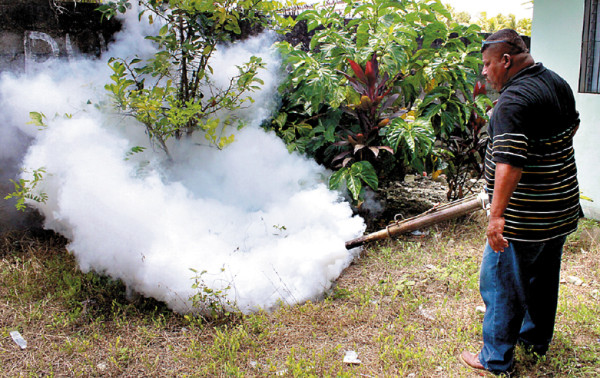 Honduras: 2012 terminará con 15,000 casos de dengue