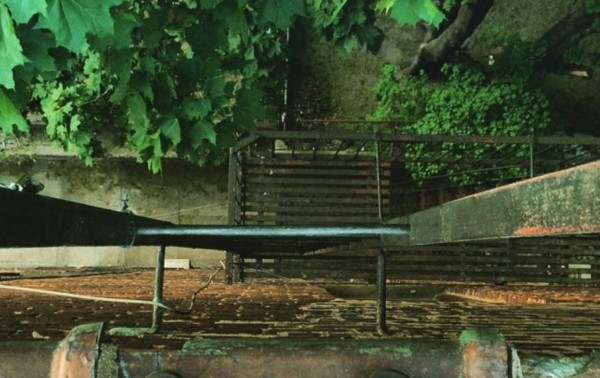 FOTOS: Publicó sus últimos momentos de vida