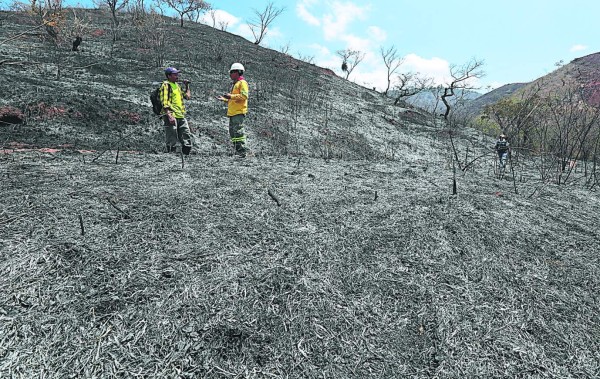 ¡Gracias por proteger a la madre naturaleza!