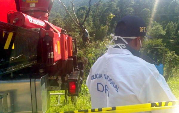 Un campesino muere electrocutado cuando podaba árbol
