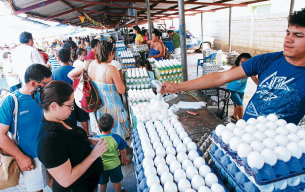 Pulperos no trasladan rebaja de precios de huevos