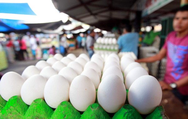 A partir de este lunes congelados 20 productos