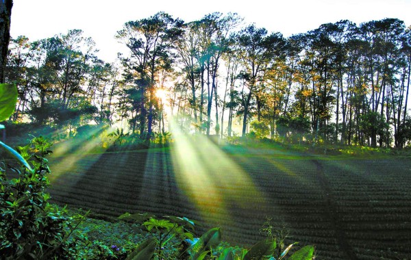 El Lago de Yojoa es cuna de la diversidad natural en Honduras