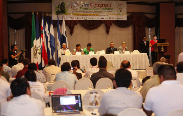 'Es crítica la situación de los bosques en Honduras”, dice experto forestal