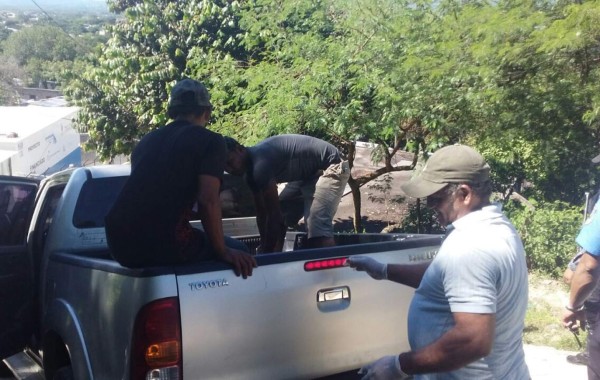 Capturan a hombre que asfixió a su esposa en Comayagua