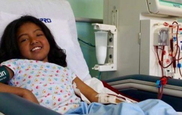 Piden al Legislativo la creación de una Ley de Trasplante de Órganos en Honduras