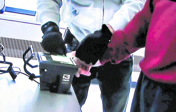 Madres e hijos liberados llevarán grilletes electrónicos en EE UU