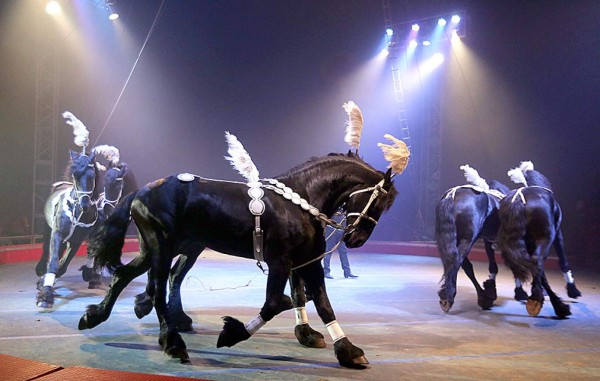 Las Fotos de la Semana en ElHeraldo.hn