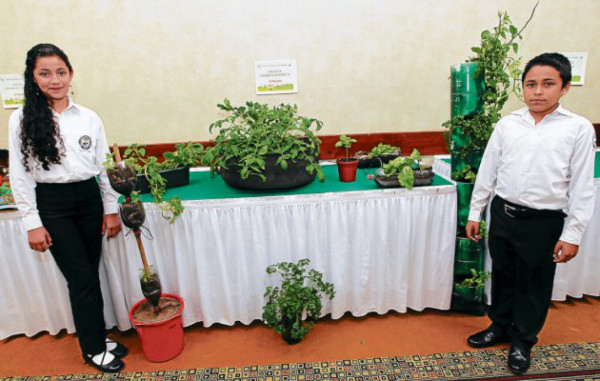 Alumnos exponen útiles e ingeniosos proyectos