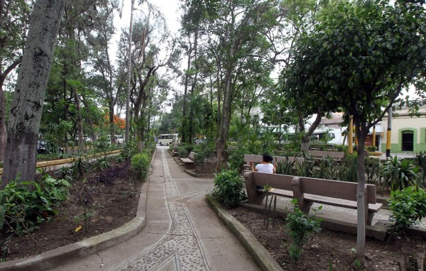 Honduras: Parques capitalinos son reforestados