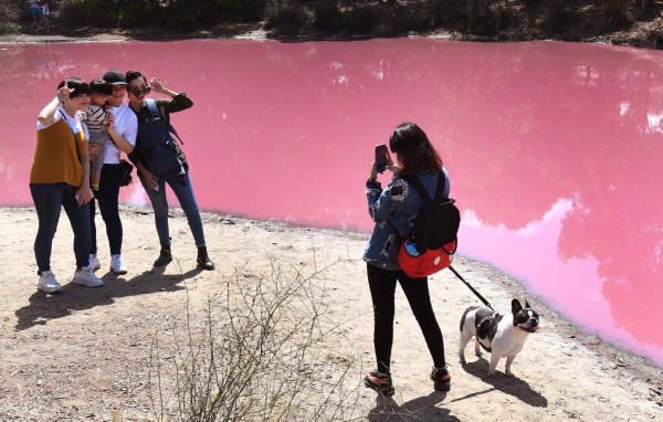 FOTOS: El extraño lago rosado que se ha convertido en un atractivo turístico en Australia