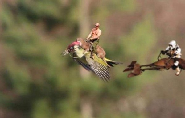 El pájaro y la comadreja no se salvaron de los memes