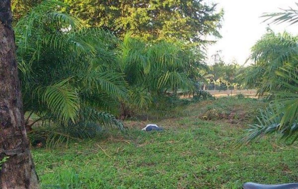 Asesinan a joven estudiante en Tocoa, Colón