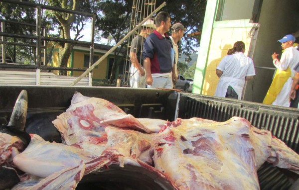 Honduras: Implementarán operativos para controlar ingreso de carne