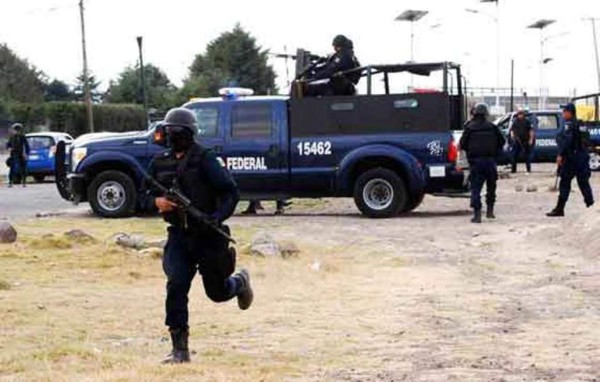 Catorce personas asesinadas en pelea de gallos y en cancha de fútbol