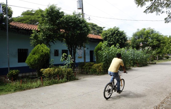 Un recorrido por Langue y Alianza