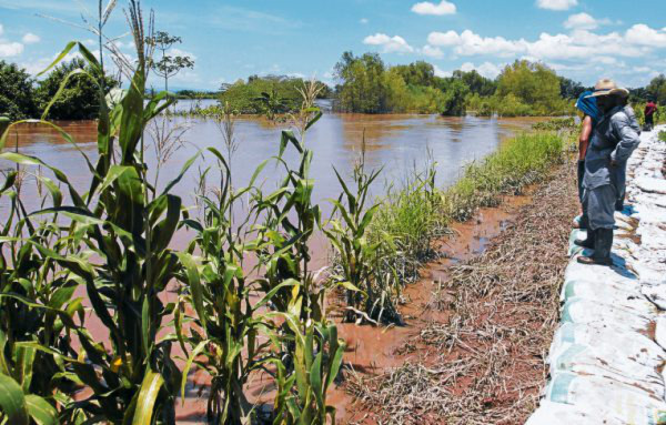 Congreso apoyará a productores de la zona sur