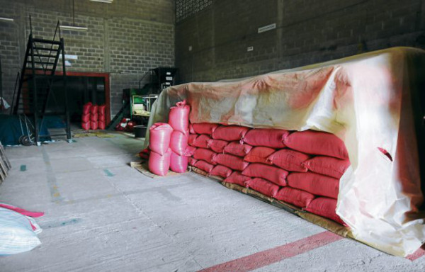 Mágico grano que conquista el paladar de los sanmarqueños