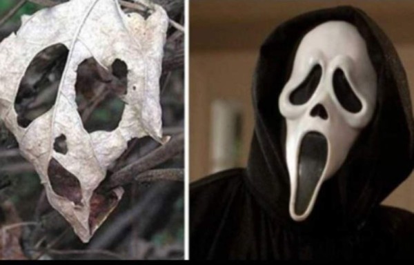 Los 'dobles' más insólitos y curiosos de los famosos