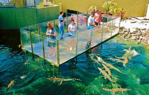 Un parque para interactuar con cocodrilos