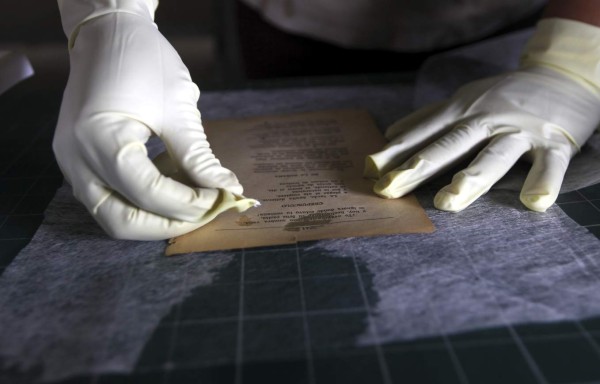 Cirujana de libros y curadora de historias