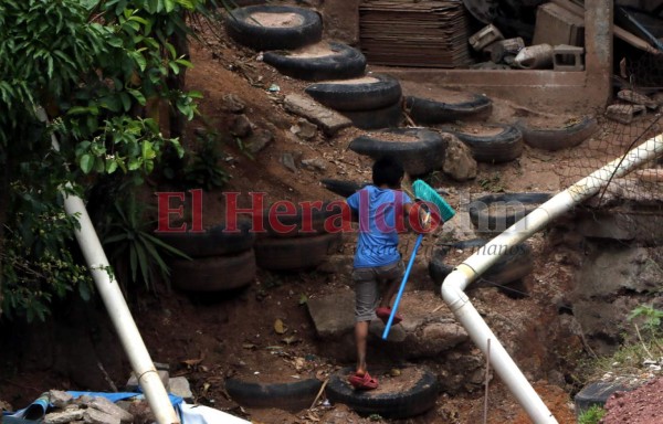 Venden leña, cuidan a sus hermanos o ayudan en casa: los niños que dejaron las escuelas por el covid