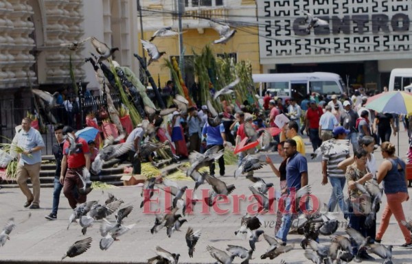 Comienza la venta de ramos y cruces previo al inicio de la Semana Santa