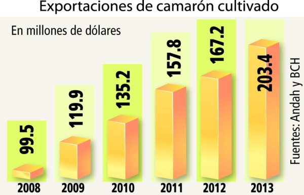 Exportación de camarón en Honduras llegará a $260 millones
