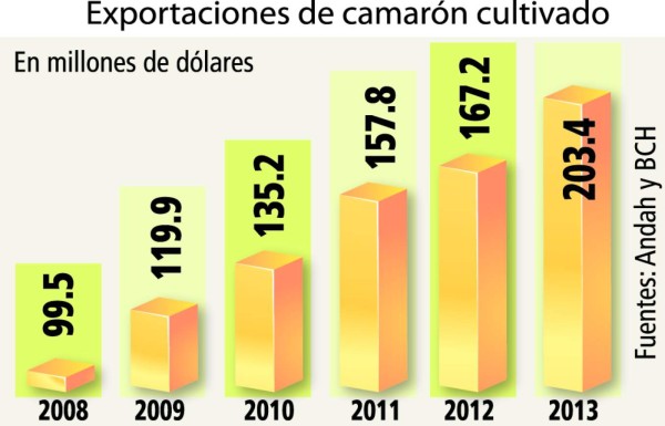 Andah denuncia comercio ilegal en Guatemala