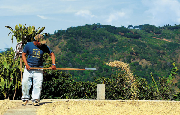 Café está a 10 dólares del punto de equilibrio