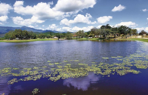 Trabajo y servicio caracteriza a los menonitas