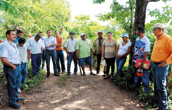 Realizan investigación para identificar semillas aptas para el cultivo
