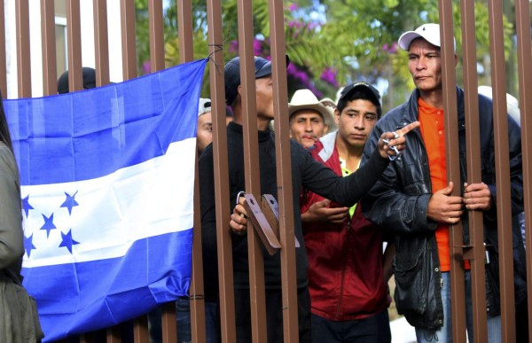 Ihcafé incumple ley al no rendir cuentas ante el TSC y la CNBS