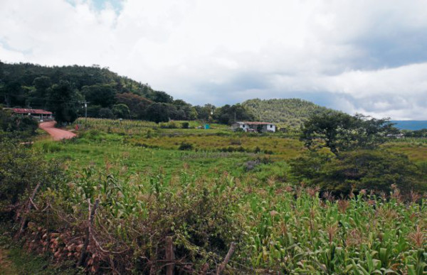 Vivienda social para 2,700 familias pobres de la capital de Honduras