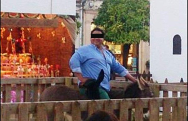 Burrito de pesebre español muere tras ser montado por hombre corpulento