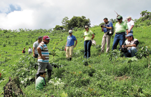 Plantaciones de café contribuyen a parar deforestación en biósfera