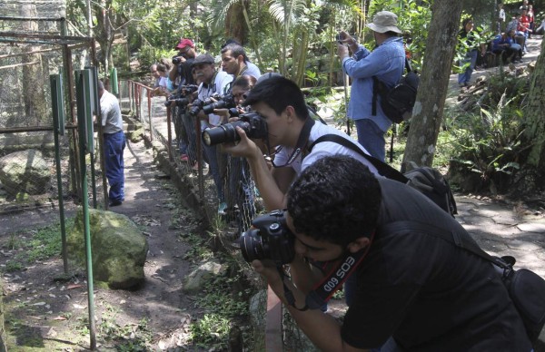 Realizan fotocaminata en el Rosy Walther