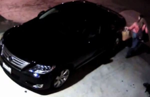 Los 10 videos más vistos de la semana en Elheraldo.hn