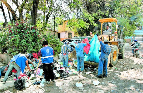 Honduras: Combaten dengue y chikungunya