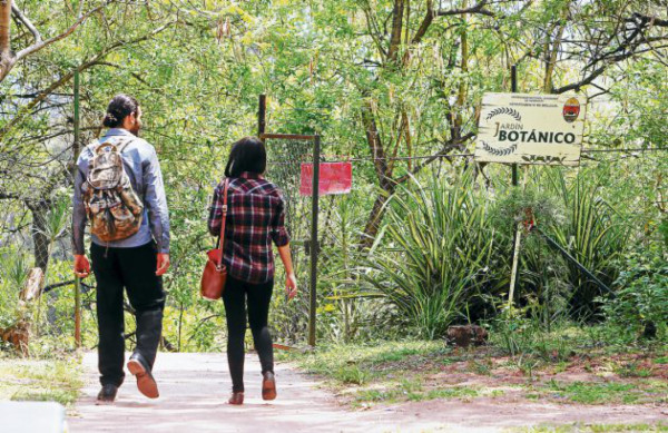 Labor ambiental universitaria
